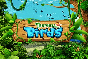 Tropical Birds